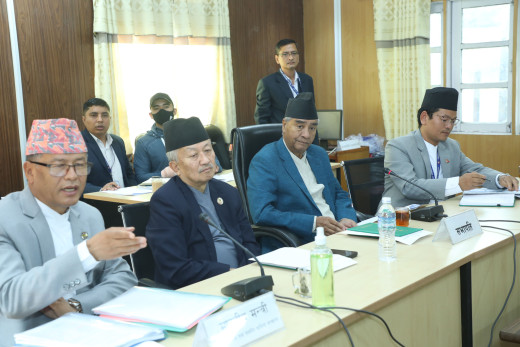 तीन संसदीय समितिको बैठक बस्दै 